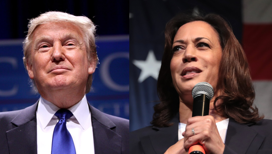 Harris versus Trump: Closing thoughts
